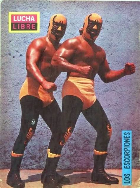 115 best images about lucha libre on pinterest wrestling solar and culture