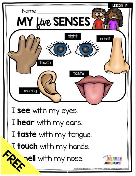 body   senses  activity science unit