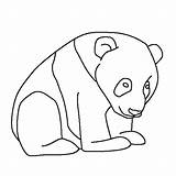 Panda Coloring Pages Giant Bear Printable Cute Drawing Line Baby Cartoon Kids Print Anime Color Bears Getdrawings Getcolorings Animal Draw sketch template