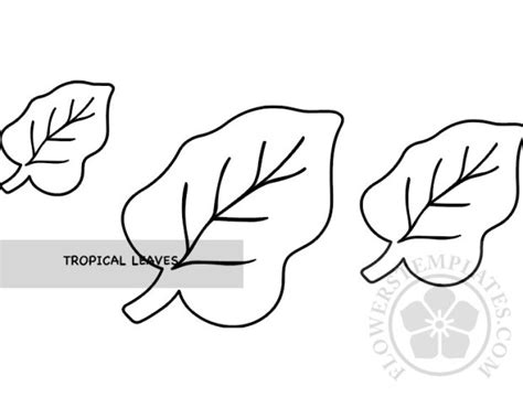 leaf tropical pattern printable flowers templates