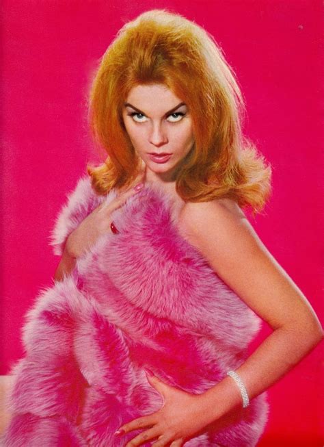 17 best images about ann margret sex kitten with a whip on