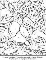 Color Toucan Number Coloring Kids Pages Numbers Games Colour Numeros Worksheets Pintar Education Printable Por Printables Bird Worksheet Adult Atividades sketch template