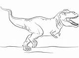 Tarbosaurus Rex Coloringpagesonly Gorgosaurus Jurassic sketch template