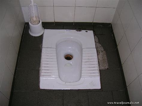awesome toilet