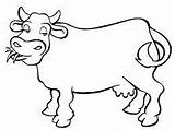 Toros Vacas Bueyes sketch template