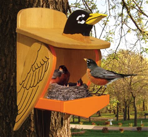 woodwork birdhouse plans robins  plans