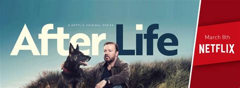 life tv show  netflix season  viewer votes canceled renewed tv shows ratings