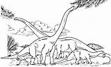 Brachiosaurus Coloring Eating Tree Drawing Colony Branch Pages Print Color Printable Getcolorings Size Getdrawings sketch template