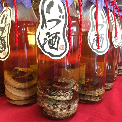 okinawa market blog okinawas interesting alcohol liquor habu sake