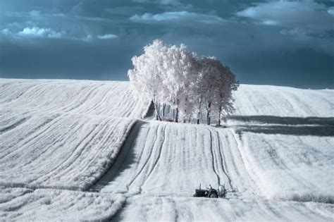 the ir world by photographer in poland amazing beauty of