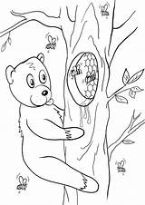 Honey Coloring Pages Honey2 Coloringway sketch template