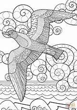 Coloring Zentangle Ocean Pages Seagull Flying Supercoloring Printable Adult Drawing Animals Categories sketch template