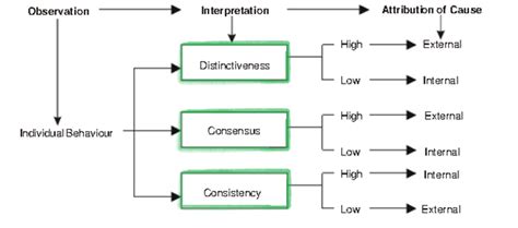 individual processes  perception specialization  perceptual