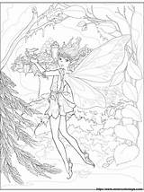 Fairy Forest Coloring Pages Color Colouring Fees Browser Ok Internet Change Case Will Coloring2000 sketch template