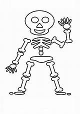 Squelette Skeletons Personnages Coloringhome sketch template