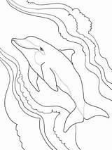 Dolphin Coloring Pages Bottlenose Tale Drawing Getdrawings Line Getcolorings Printable Spinner Silhouettes Supercoloring sketch template