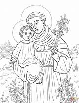 Anthony Coloring St Padua Pages Clipart Printable Timothy Paul Saint Assisi Supercoloring Francis Aquinas Thomas Kids Color Clipground Drawing Catholic sketch template