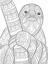 Coloring Pages Sloth Printable Sloths 30seconds Print Mom Relax Slow Down Help Tip sketch template