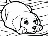 Coloring Pages Rottweiler Para Dog Bloodhound Drawing Getdrawings Colorir Beagle Color Ask Pintar Imprimir Print Cute Paper Sheets Printable Getcolorings sketch template