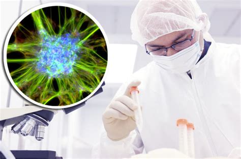 Immortality Stem Cell Project Stemprotect Boasts Humans