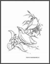 Tropical Bird Pittas Coloring Pages sketch template