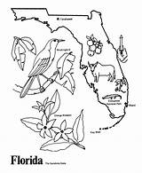 Florida State Pages Coloring Map Outline Printables Usa States Bird Symbols Print Sheets Drawing Mississippi Printable Kids Colouring Tree Color sketch template