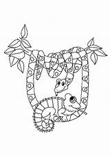 Chameleon Rainforest Momjunction sketch template