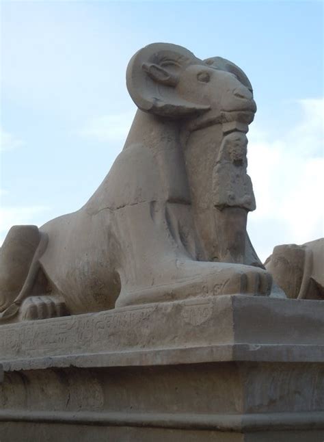 karnak temple the sphinx at karnak have the heads of rams instead of human the ram headed