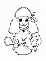 Poodle sketch template