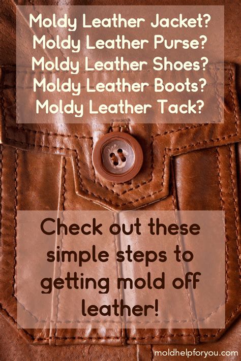 simple steps   mold  leather mold remover leather