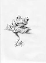 Frog Coloring Template Eggs Pages Tree Sketch sketch template