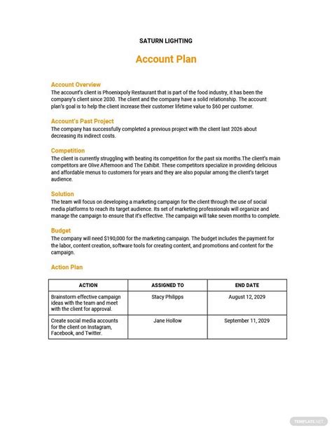 page account plan template
