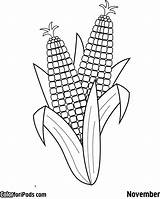 Corn Coloring Pages Ear Drawing Printable Colouring Para Three Sheets Cob Sheet Ears Squash Beans Sisters Color Kids Imagen Template sketch template