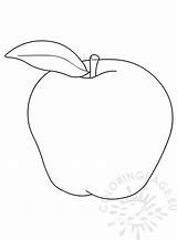 Apple Svg Dxf sketch template