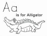 Alligator Coloring Pages Kids Letter Printable Tracing Print Crocodile Sheets Trace Preschool Color Lawteedah Sheet Alligators Activity Baby Cute Worksheets sketch template