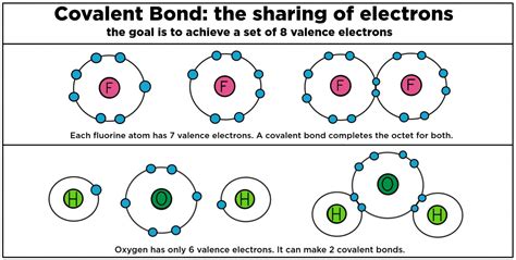 covalent bonding biology definition role expii