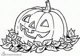 Halloween Pompoen Kleurplaat Kleurplaten Stampare Tekeningen Pumpkins Everfreecoloring Miedo Leaves Griezelige Gewoon sketch template
