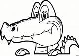 Alligator Crocodile Coloring Pages Cartoon Drawing Head Baby Face Color Cute Gators Florida Caiman Silhouette Colouring Gator Book Draw Sheet sketch template