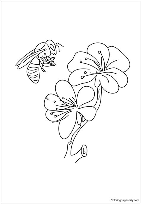 coloring pages bees flowers bees coloring pages coloring home