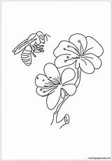 Pages Flowers Coloring Bees Color Online Adults sketch template