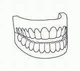 Teeth Coloring Pages Mouth Printable Tooth Drawing Vampire Colouring Dental Smile Realistic Sheets Easy Print Getdrawings Color Getcolorings Dentist Gif sketch template