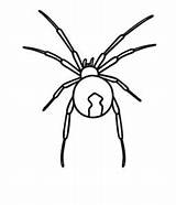 Widow Veuve Noire Nera Vedova Draw Spiders Coloriages Printmania sketch template