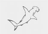Coloring Pages Shark Hammerhead Print Books Kids sketch template