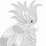 Zentangle Cockatoo sketch template