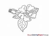 Coloring Pages Bud Kids Sheet Title sketch template