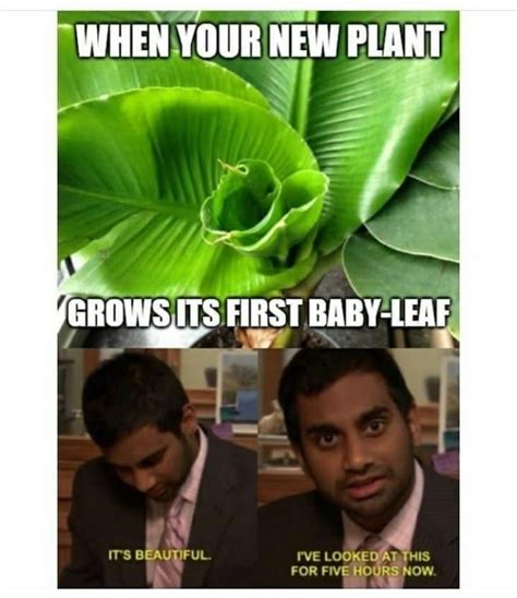 plant memes   needing  eco friendly happiness  memes