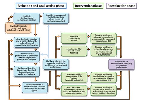occupational therapy intervention model process framework fisher   scientific
