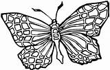 Butterfly Coloring Pages Blank Pattern Getcolorings Printable Color sketch template