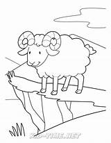 Sheep Bighorn sketch template