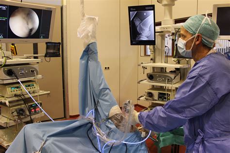arthroscopy surgery equitom equine clinic